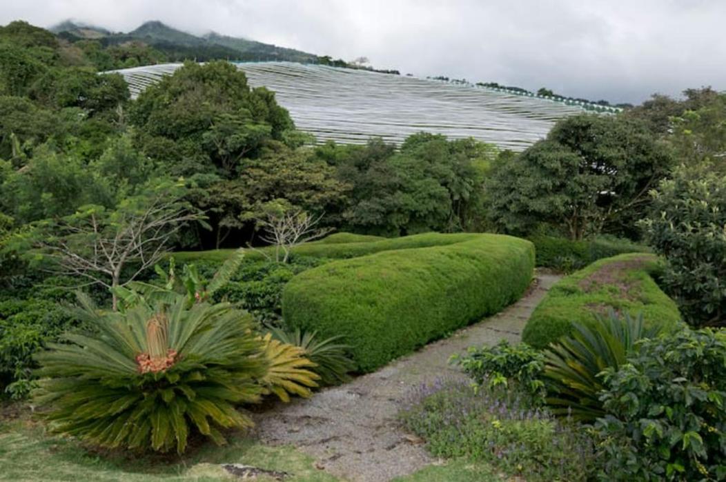 Coffee Garden Ranch Costa Rica Apartment Concepcion  Ngoại thất bức ảnh
