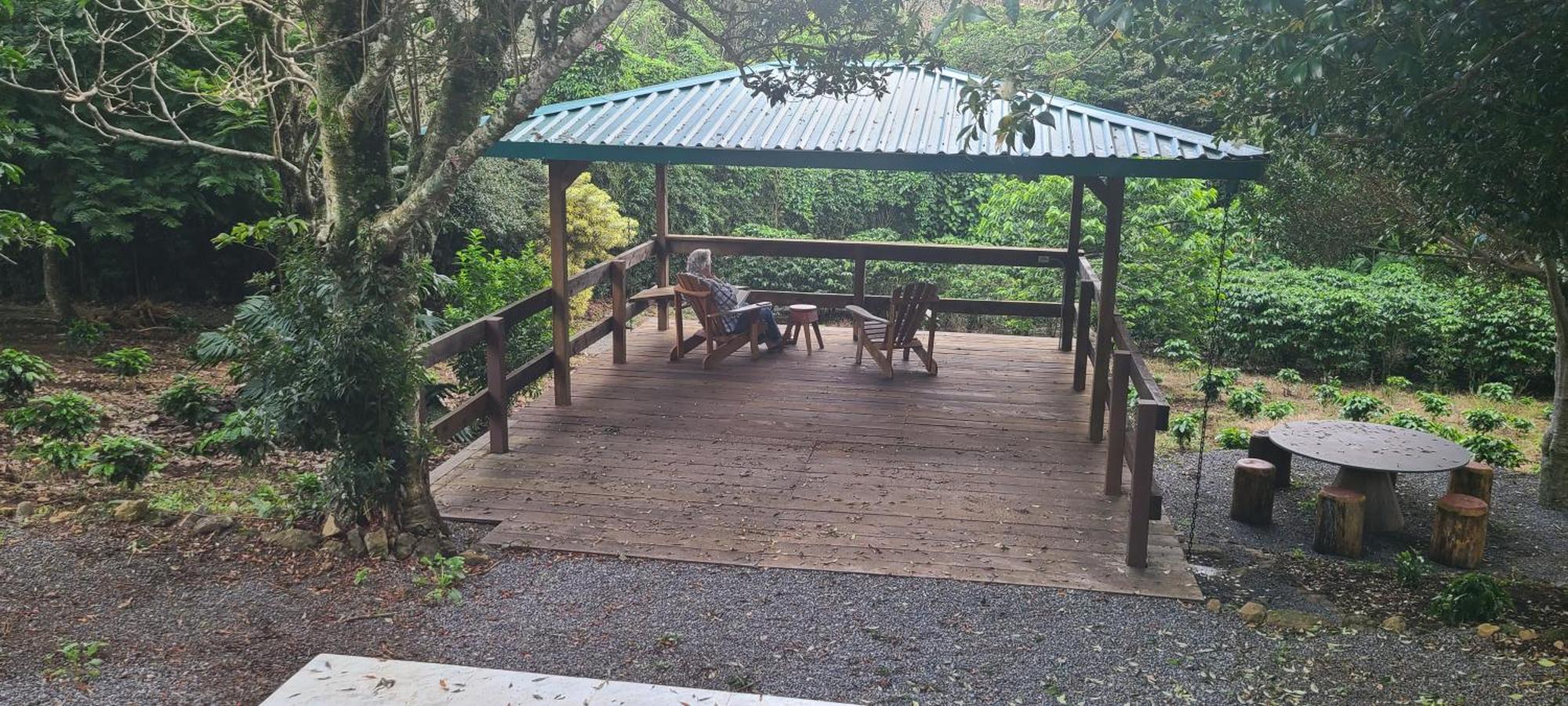 Coffee Garden Ranch Costa Rica Apartment Concepcion  Ngoại thất bức ảnh